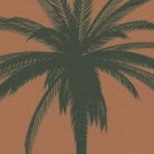 Palm Garden of Sun City