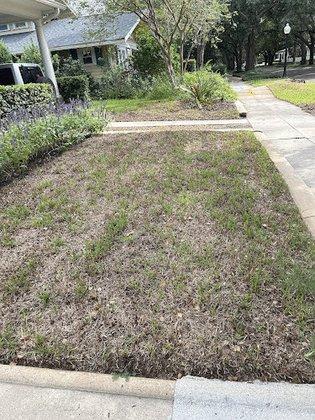 Southern Florida Landscaping