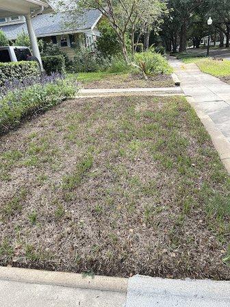 Southern Florida Landscaping