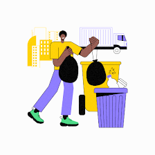Tampa Junk Removal