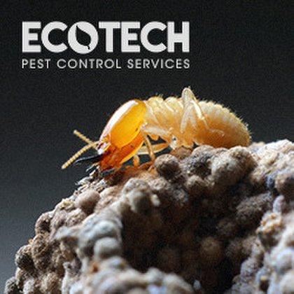 EcoTech Pest Control Services