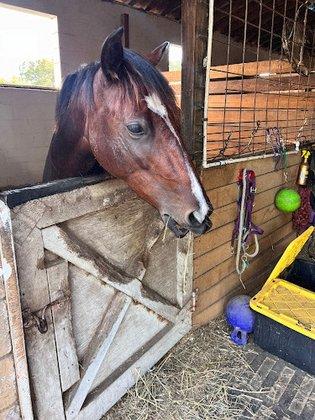 Side-Pass Stables LLC