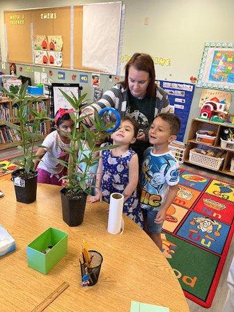 Creative Times Academy of Wesley Chapel