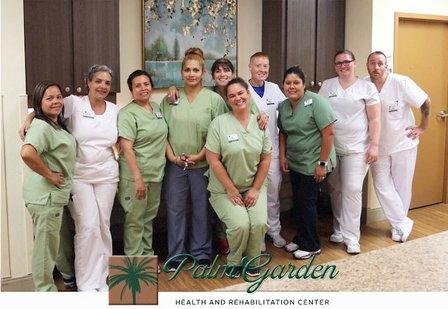 Palm Garden of Sun City