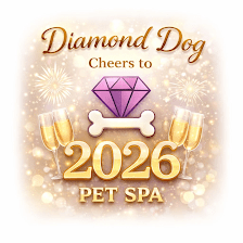 Diamond Dog Pet Spa