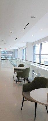 USF Health Morsani College of Medicine, Taneja College of Pharmacy, and Heart Institute