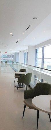 USF Health Morsani College of Medicine, Taneja College of Pharmacy, and Heart Institute
