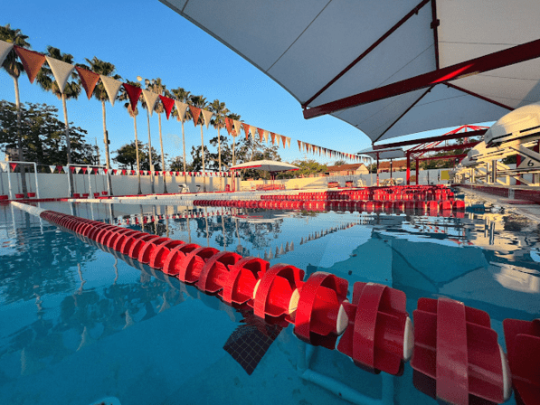 TBAY - Tampa Bay Aquatics Swim Team