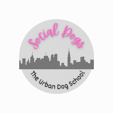 Social Dogs, LLC