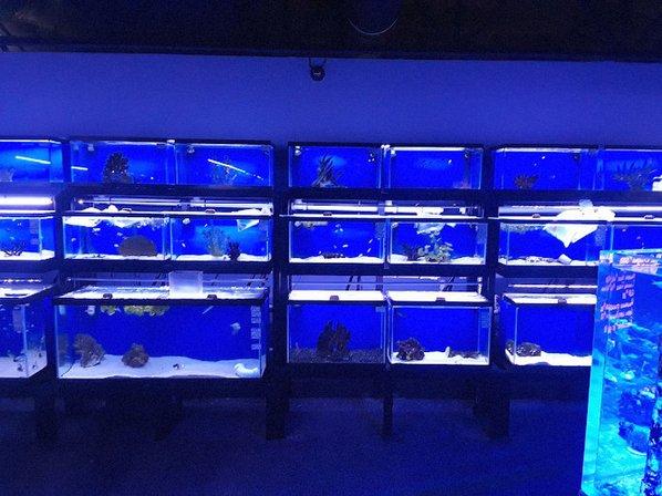 Sea Life Fish & Aquariums
