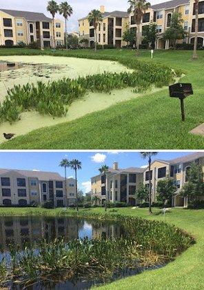 The Lake Doctors, Inc