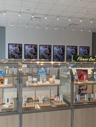 Insa Cannabis Dispensary Largo