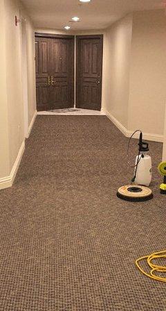 Blue Wave Carpet Cleaning LLC