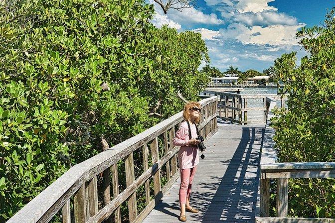 Indian Rocks Beach Nature Preserve