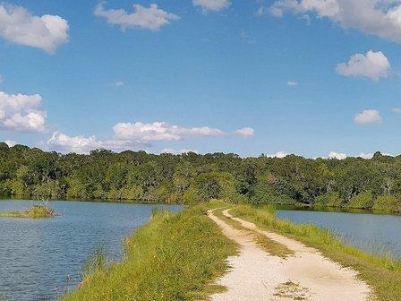 Saddle creek fishing