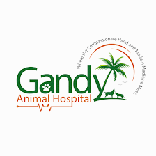 Gandy Animal Hospital