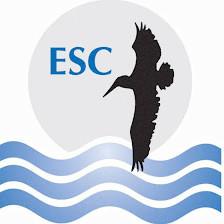 Environmental Safety Consultants, Inc. Tampa, FL