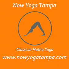 Now Yoga Tampa