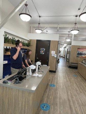 AYR Cannabis Dispensary St. Petersburg