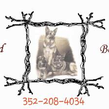 Good Behavior Dog Training