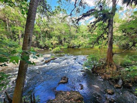 Hillsborough River Rapids