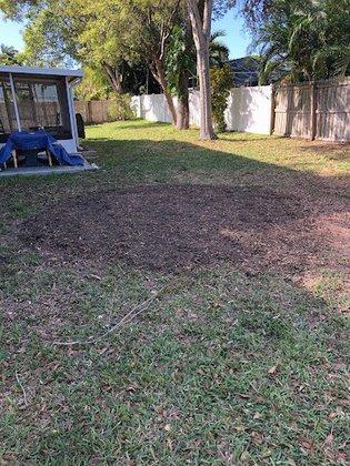 Randy's Stump Removal, Inc