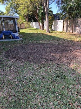 Randy's Stump Removal, Inc
