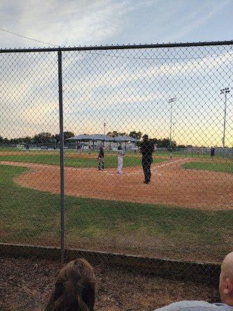 Temple Terrace Little League