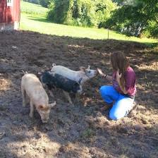 Madeleine Mosier's Pet Sitting