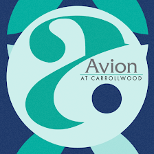 Avion at Carrollwood