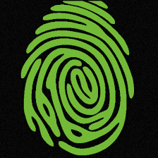 MOBILE FINGERPRINTING LLC