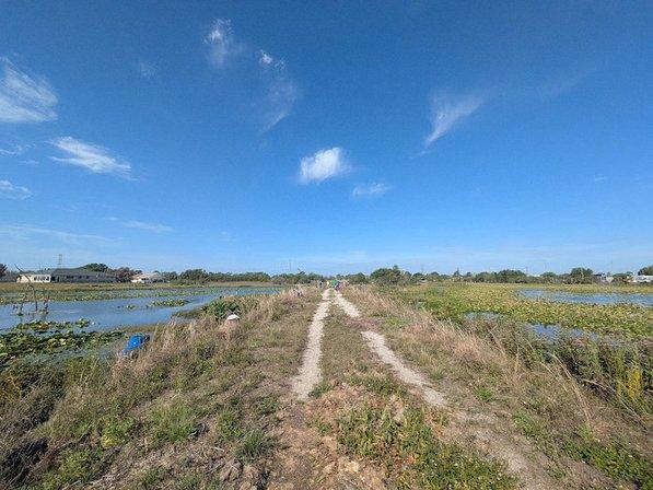 Roosevelt Wetland