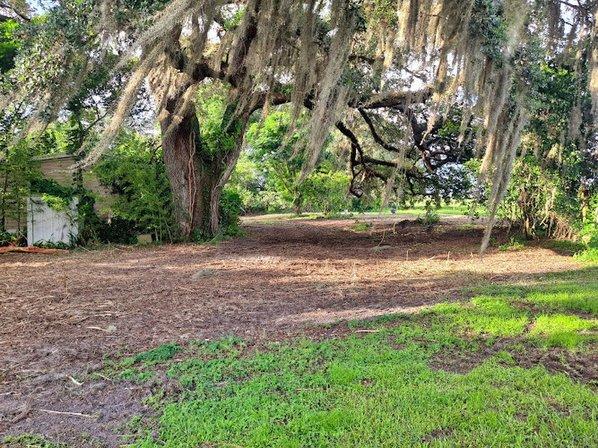 Forestry Mulching of Tampa - Land Clearing, Tree Removal, Excavation & Site Prep
