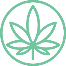 Cannabis Doc - Zephyrhills Medical Marijuana Doctors & Marijuana Cards