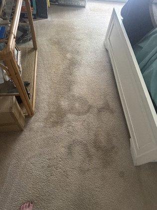 Nation Cleaning Services