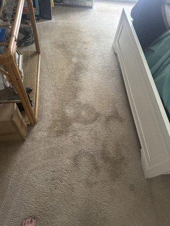 Nation Cleaning Services