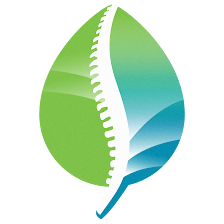BioSpine Surgery Center