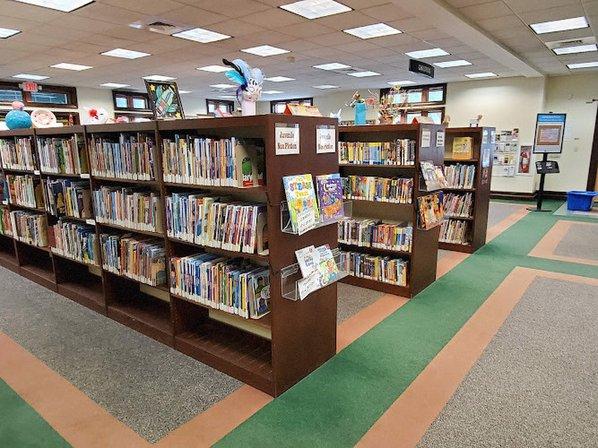 Mirror Lake Community Library