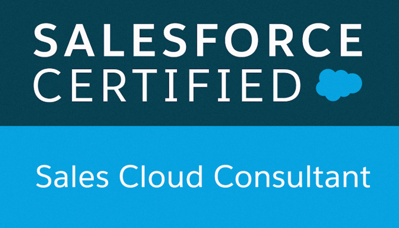 Blue Engine Salesforce Consultants