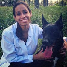 Harborside Animal Hospital