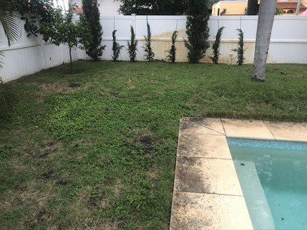 Marshall Lawn and Pest Control