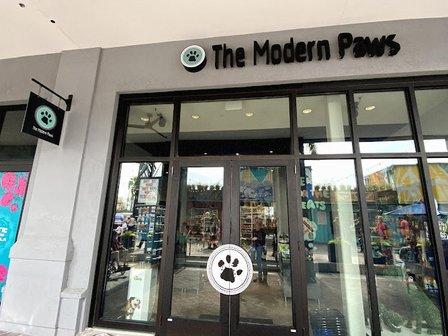 The Modern Paws
