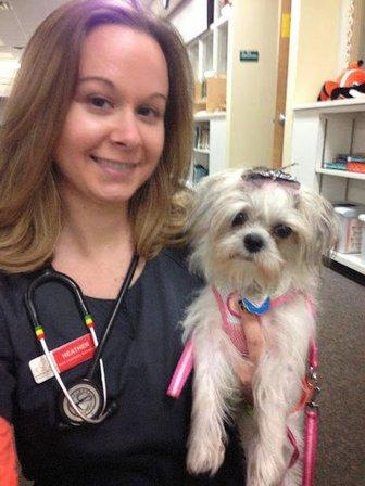 Harborside Animal Hospital