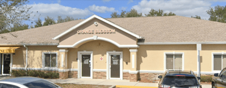 Orange Blossom Oral Surgery Gibsonton