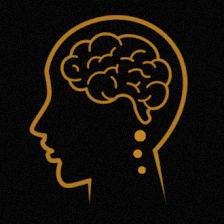 Neuroplasticity St. Pete