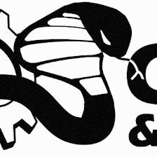 Cobra Design & Engineering
