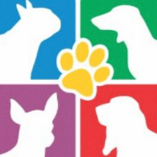 4 Paws Playhouse