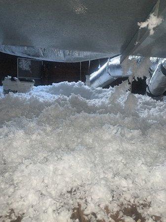Insulation Genie