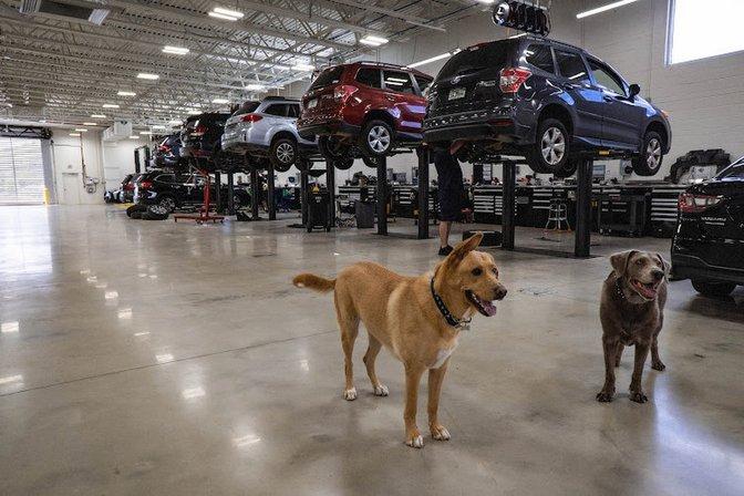 Subaru of Wesley Chapel Service