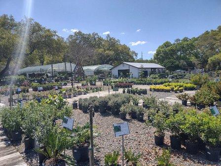 Kerby's Nursery & Landscaping